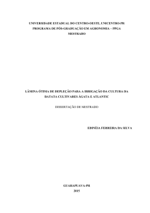 Dissertação em PDF