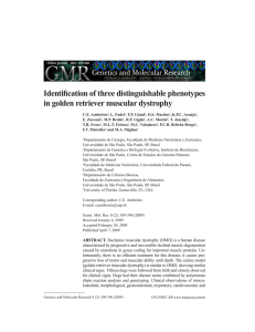 Identification of three distinguishable phenotypes in golden retriever