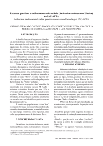Recursos genéticos e melhoramento do antúrio (Anthurium