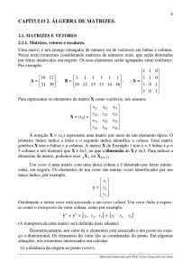 capítulo 2. álgebra de matrizes.