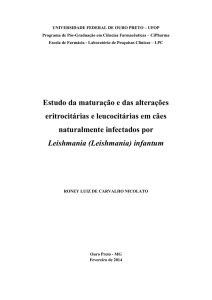 Estudo da maturação e das alterações eritrocitárias e leucocitárias