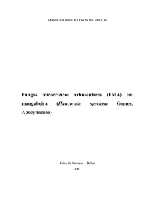 (FMA) em mangabeira (Hancornia speciosa Gomez - PPGBot