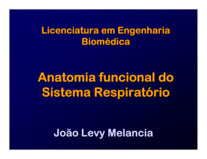 Anatomia funcional do Sistema Respiratório