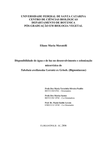 Disponibilidade de água e de luz no desenvolvimento e