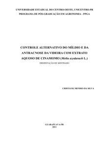 CONTROLE ALTERNATIVO DO MÍLDIO E DA ANTRACNOSE DA