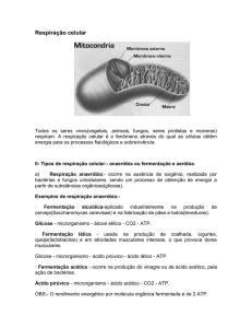 Respiração celular - Odontologia Sorocaba 2016