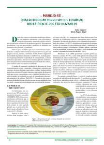 Quatro Medidas Corretas Levam ao Uso Eficiente dos Fertilizantes