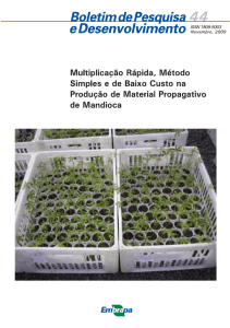 Multiplicação Rápida, Método Simples e de Baixo Custo - Infoteca-e