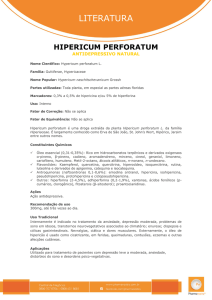 Hipericum Perforatum