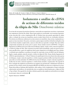 Isolamento e análise de cDNA de actinas de diferentes tecidos da
