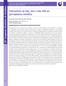 Polimorfismo de (GA) intra e inter SSR em germoplasma mandioca