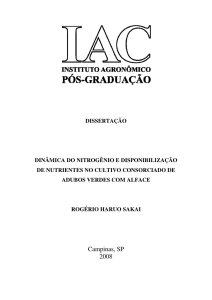 Dinâmica do nitogênio e disponibilização de nutrientes no