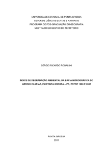 índice de degradação ambiental da bacia - início