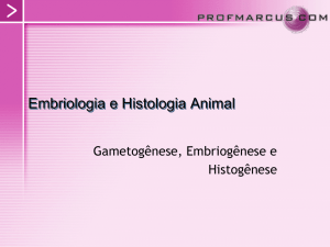 Embriologia e Histologia Animal