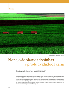 Manejo de plantas daninhas e produtividade da cana - Esalq