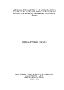 modulação das bombas de h no desenvolvimento vegetal: papel no