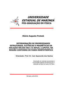 universidade estadual de maringá iversidade de