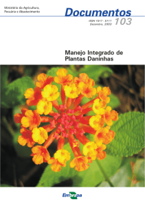 Manejo integrado de plantas daninhas.