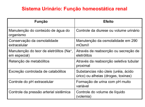 Sistema Urinário: Função homeostática renal