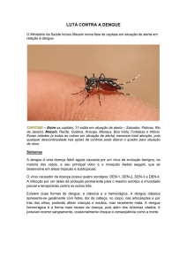 Luta contra a dengue