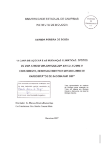 efeitos de uma atmosfera enriquecida em `CO²`