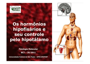 Os hormônios hipofisários e seu controle Os hormônios hipofisários
