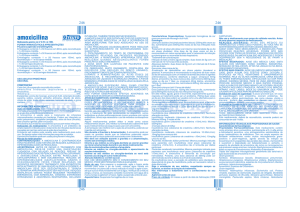 Amoxicilina suspensão oral (402800-07)