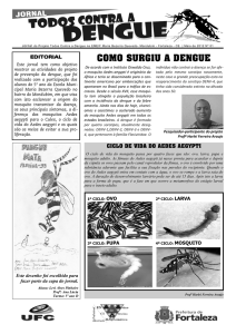 COMO SURGIU A DENGUE