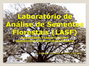 Atuação do Laboratório de Sementes Florestais