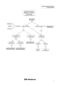 Grupos de Plantas - Fernando Santiago dos Santos