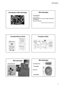 Módulo 6 - Microbiologia