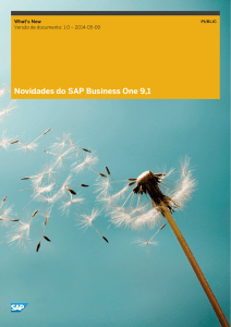 Novidades do SAP Business One 9,1