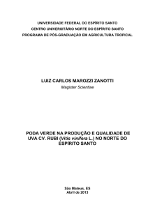 Dissertação Luiz Carlos Marozzi Zanotti20150904