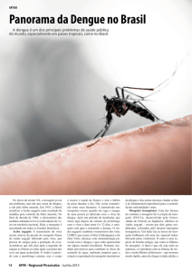 Panorama da Dengue no Brasil