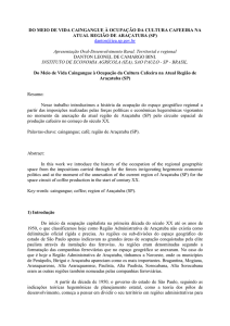 DO MEIO DE VIDA CAINGANGUE À OCUPAÇÃO DA