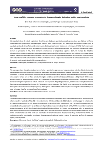 Morte encefálica e cuidados na manutenção do potencial doador de