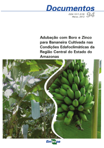 Adubação com Boro e Zinco para Bananeira Cultivada - Infoteca-e