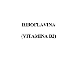 RIBOFLAVINA \(VITAMINA B2\)