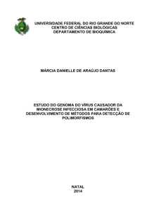 universidade federal do rio grande do norte centro de