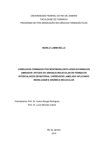 Complexos formados por montmorilonita sódica/ fármacos