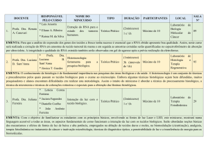 DOCENTE RESPONSÁVEL PELO CURSO NOME DO