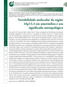 Variabilidade molecular da região 16p13.3 em ameríndios e seu