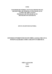 estudos etnobotânicos em três lagoas /ms e sua