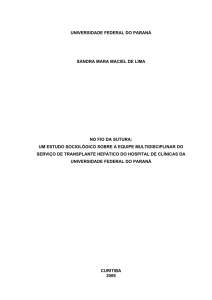 UNIVERSIDADE FEDERAL DO PARANÁ SANDRA MARA MACIEL