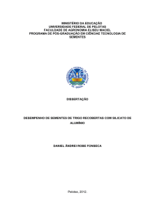 1 ministério da educação universidade federal de pelotas faculdade