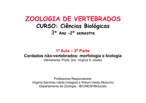 zoologia de vertebrados - IBB