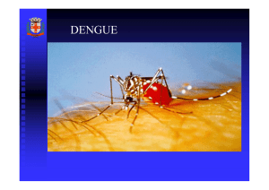 DENGUE - Aula UBS