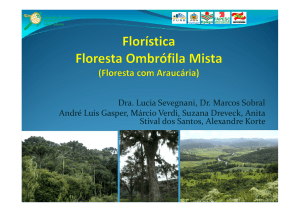 IFFSC Floristica geral - Lucia