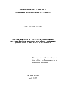 Identificação molecular e caracterização bioquímica de bactérias