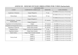 ANEXO III – RESUMO ESTÁGIO OBRIGATÓRIO POR CURSO